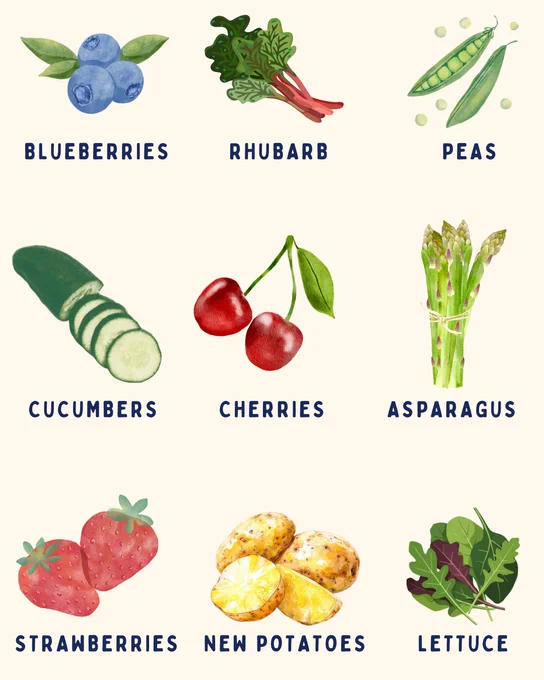 Cream background with cartoon images of fruit/veg in season in May/June in a grid. 
