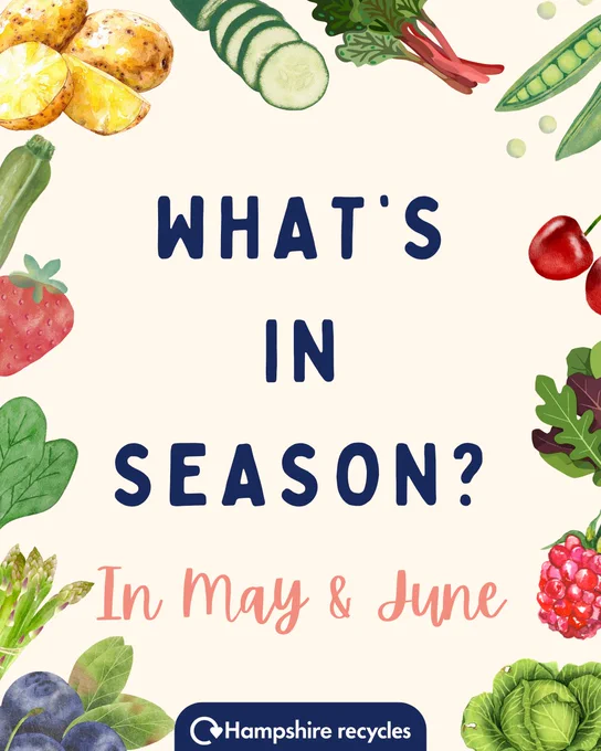 Cream background with cartoon images of fruit and vegetables around the edge. Navy and pink text in the centre that reads 'what's in season? In May &  June'. White Hampshire Recycles logo in bottom centre.
