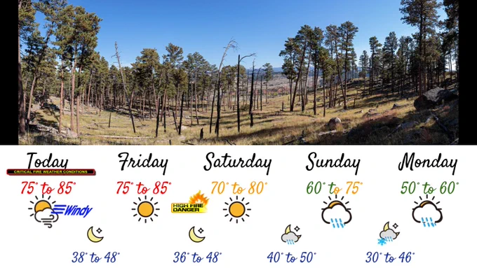 A five-day weather forecast graphic displayed below a photo of a forested landscape with tall pine trees under a clear blue sky. The forecast shows: Today: 75° to 85°, windy, critical fire weather conditions, low 38° to 48°. Friday: 75°to 85°, sunny, high fire danger, low 36° to 48°. Saturday: 70°–80°, sunny, high fire danger, low 36° to 48°. Sunday: 60°–75°, partly cloudy with a chance of showers, low 40° to 50°. Monday: 50° to 60°, cloudy with a chance of rain and possible snow in the higher Black hills, low 30° to 46°. The image emphasizes a transition from warm, dry, fire-prone weather to cooler, wetter conditions later in the week.