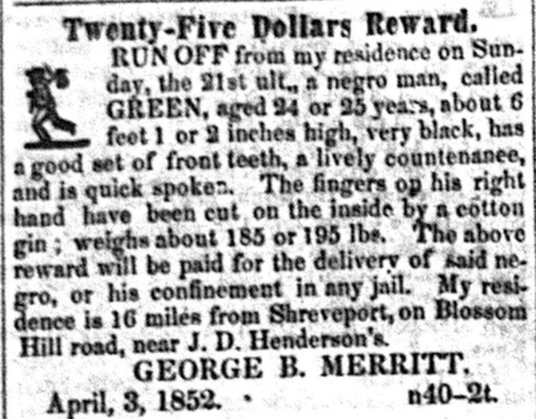 Twenty-Five Dollars Reward. RUN OFF from my residence on Sunday, the 21st ult., a negro man, called GREEN, aged 24 or 25 years, about 6 feet 1 or 2 inches high, very black, has a good set of front teeth, a lively countenance, and is quick spoken. The fingers on his right hand have been cut on the inside by a cotton gin; weighs about 185 or 195 pounds. The above reward will be paid for the delivery of said negro, or his confinement in any jail. My residence is 16 miles from Shreveport, on Blossom Hill road, near J. D. Henderson's. GEORGE B. MERRITT. April 3, 1852. n40-2t.