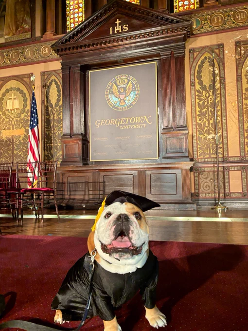Jack sitting with a grad cap & gown 

