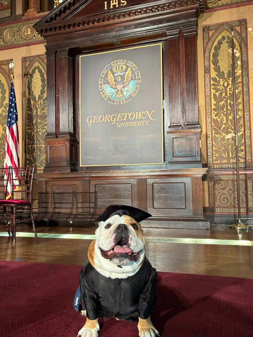 Jack sitting facing forward wearing a grad cap & gown 
