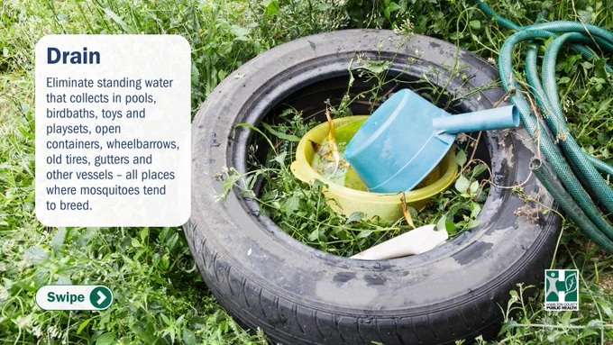 Eliminate standing water by draining anything around your home that collects standing water.
