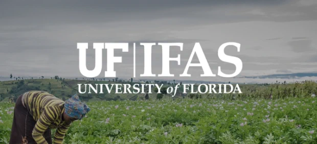 A farmer tending to crops in a green field under a cloudy sky with the University of Florida IFAS logo overlayed.