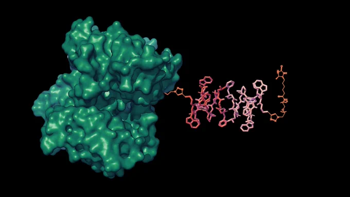 Molecular structure of the newly developed MRI sensor.