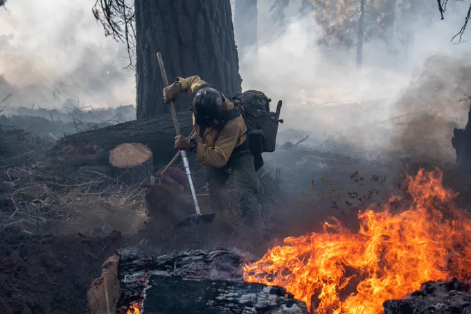 Firefighter actively working on a wildfire incident. 