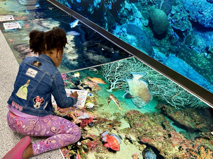 A kid in a jean jacket sits on the floor. On the floor is a mat with colorful fish and corals. The kid is completing a scavenger hunt to identify the corals and fish on the mat. 