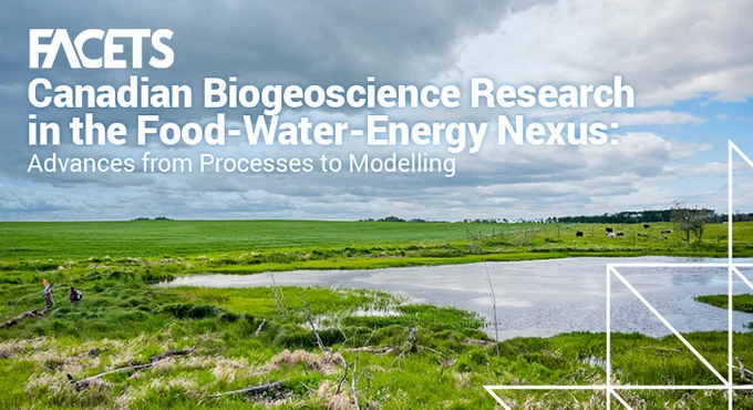 Vast green wetland landscape under a cloudy sky, illustrating Canadian biogeoscience research on food, water, and energy connections.