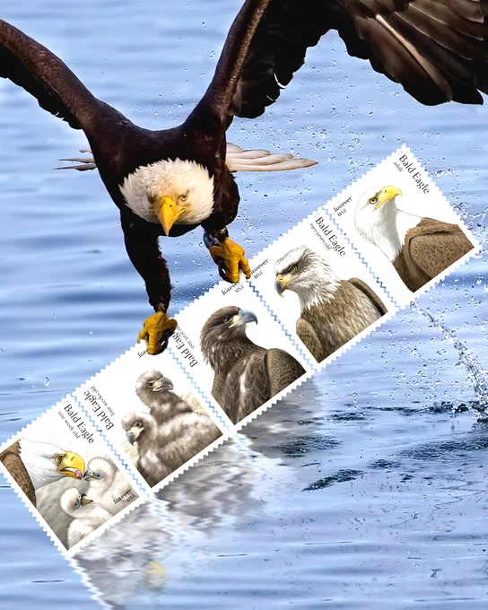  A bald eagle flying over water holding the Bald Eagle stamp sheet in its talons.