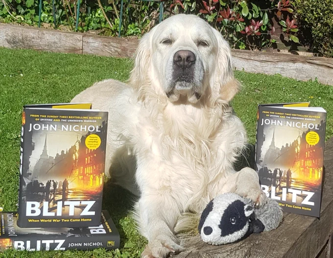 ralph the golden retriever sitting with the book