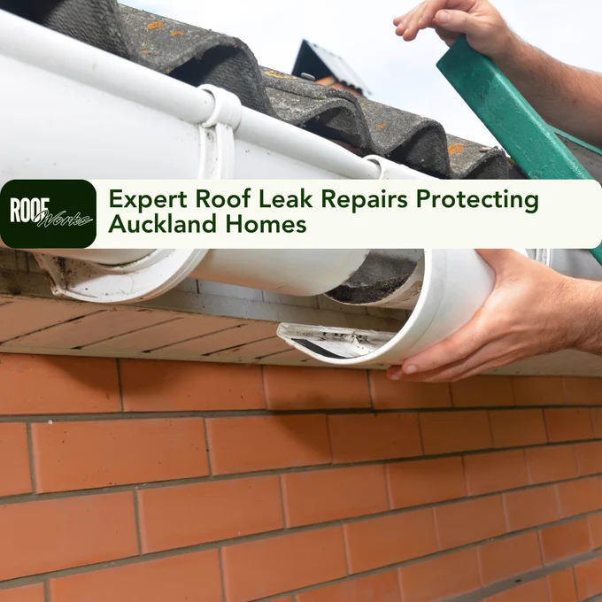 Looking for Reliable Roof Leak Repair in Auckland?