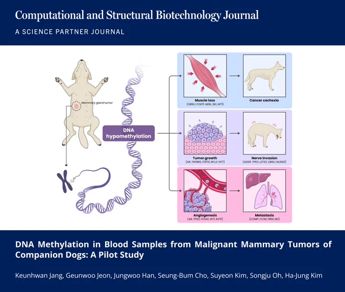 🔗 DNA Methylation in Blood Samples from Malignant Mammary Tumors of Companion Dogs: A Pilot Study. Computational and Structural Biotechnology Journal (CSBJ). DOI: https://doi.org/10.34133/csbj.0104

📚 CSBJ - A Science Partner Journal: https://spj.science.org/journal/csbj