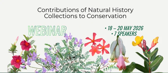Promotional graphic for a webinar titled “Contributions of Natural History Collections to Conservation.” The design features a light gray background with colorful botanical illustrations along the bottom, including pink, purple, red, yellow, and green flowering plants. Large green outlined text reads “WEBINAR.” Additional text on the right states “18–20 May 2026” and “7 speakers.”