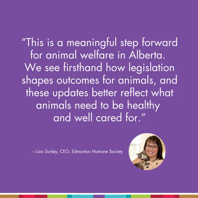 A quote on a purple background reads: “This is a meaningful step forward for animal welfare in Alberta. We see firsthand how legislation shapes outcomes for animals, and these updates better reflect what animals need to be healthy and well cared for.” The quote is attributed to Liza Sunley, CEO, Edmonton Humane Society, with a small image of her holding a cat next to the text.