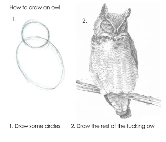 A how-to guide that shows you how to draw an owl, with a finished drawing of an owl drawn out in its glory. Step 1: Draw some circles. Step 2: Draw the rest of the fucking owl.