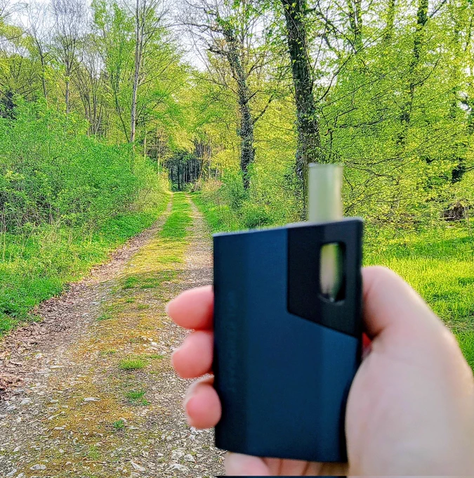 Ein Weg führt in den Wald. Eine Hand hält einen Vaper. Die Sonne scheint.