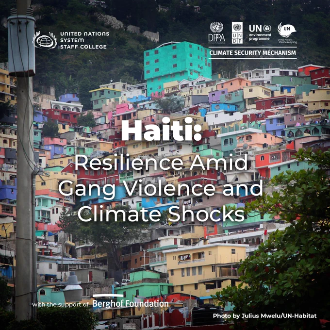 Haiti: Resilience Amid Gang Violence and Climate Shocks