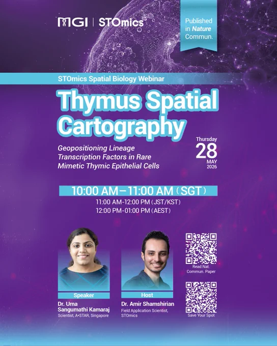 Promotional flyer for an MGI and STOmics Spatial Biology Webinar titled "Thymus Spatial Cartography: Geopositioning Lineage Transcription Factors in Rare Mimetic Thymic Epithelial Cells." A badge notes the research is "Published in Nature Commun." The event takes place on Thursday, May 28, 2026, from 10:00 AM–11:00 AM (SGT), with equivalent times for JST/KST and AEST listed. It features a headshot of the Speaker, Dr. Uma Sangumathi Kamaraj, Scientist at A*STAR, Singapore, and the Host, Dr. Amir Shamshirian, Field Application Scientist at STOmics. Two QR codes are provided: one to "Read Nat. Commun. Paper" and another to "Save Your Spot." The background features a purple, abstract spatial biology network design.