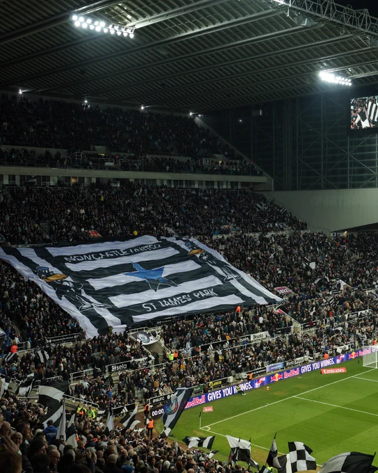 Inside view of St. James' Park. 