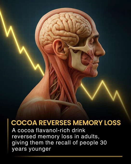🧠 COCOA MAY BOOST MEMORY LIKE MAGIC 🍫
Scientists found that a cocoa flavanol-rich drink improved memory in older adults so much that some performed like people decades younger. Researchers say the natural compounds in cocoa may increase blood flow to memory areas of the brain.
Could the secret to a sharper brain really be hidden inside chocolate?
Source 
Brickman, A. M., Khan, U. A., Provenzano, F. A., Yeung, L. K., Suzuki, W., Schroeter, H., Wall, M., Sloan, R. P., & Small, S. A. Enhancing dentate gyrus function with dietary flavanols improves cognition in older adults. Nature Neuroscience.
