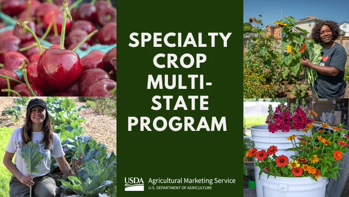 A collage with images of cherries, people harvesting leafy greens and flowers, and an arrangement of vibrant flowers in white buckets. The center has a green background with the text "Specialty Crop Multi-State Program." The USDA Agricultural Marketing Service logo is at the bottom.