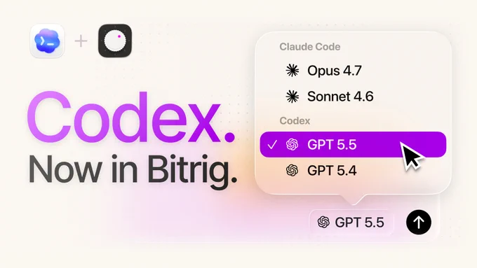 Codex is featured in Bitrig, showcasing options for GPT versions 5.5 and 5.4, alongside other coding tools.