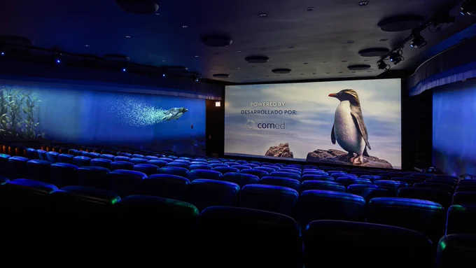 Shedd Aquarium Immersion Theater In-Theater, ComEd Sponsorship © Shedd Aquarium/Brenna Hernandez