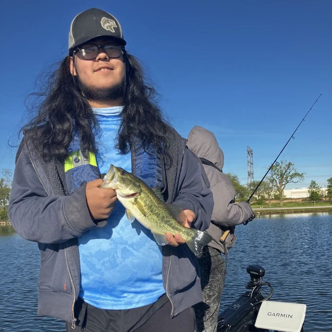 bass 