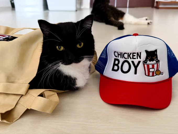 A black-and-white cat sitting beside a hat that says “CHICKEN BOY.”