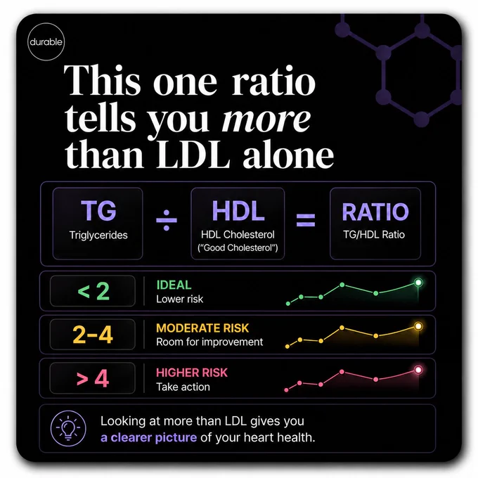 This image explains the TG/HDL ratio as a heart health indicator, comparing it to LDL. It includes a chart showing risk levels: green for ideal (<2), yellow for moderate risk (2-4), and red for higher risk (>4). Text emphasizes the importance of this ratio for understanding heart health.