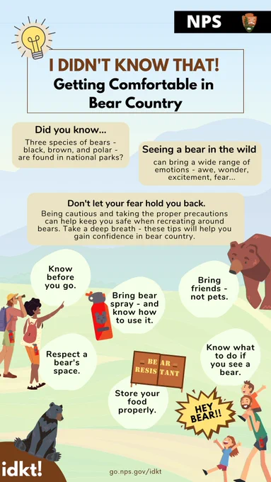 Informative poster on safely encountering bears in national parks, highlighting bear species and safety tips like carrying spray and respecting space.