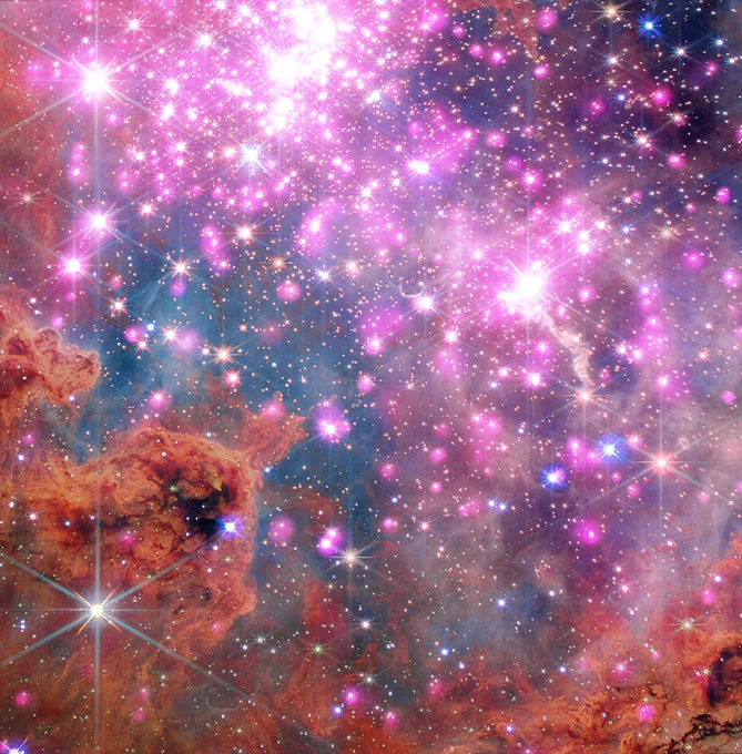 This is a composite image of the young star cluster known as Westerlund 2. Here, scores of gleaming white specks ringed in neon pink are scattered across the image in a band that stretches from our lower right to our upper left, and beyond. Clouds of brick-orange dust enter the image from our lower left, and spread along the bottom edge of the frame, showing off the raw materials of this active stellar nursery.