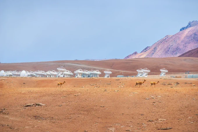 Photograph taken of a group of the radio telescope dishes of the ALMA telescope in the Chilean Atacama Desert. In front of the dishes are three deer-like animals called vicuña. The ground is reddish orange sand stretch back to the horizon, with a steep mountain to the right. The sky overhead is a misty blue.