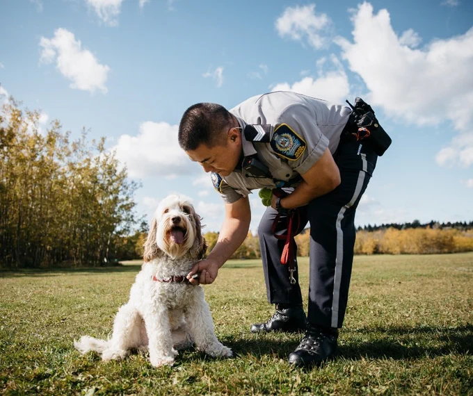 A Peace Officer in uniform kneels to check a fluffy white dog’s collar.
