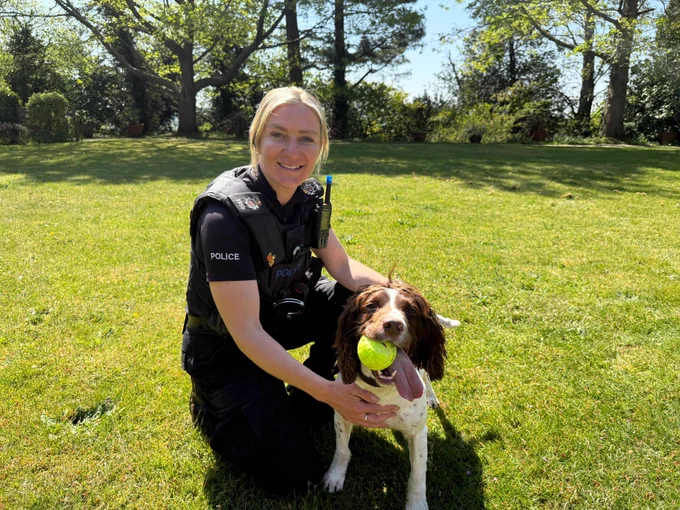 Image shows PC Lucy Lucking kneeling down on a lawn in the sunshine with trees in the background smiling to camera whilst holding explosives detection dog, Kika in a posed fashion.  Kika, who is also facing camera, has a used yellow tennis ball in her mouth.  Lucy is wearing police uniform and Kika has brown and white fur.