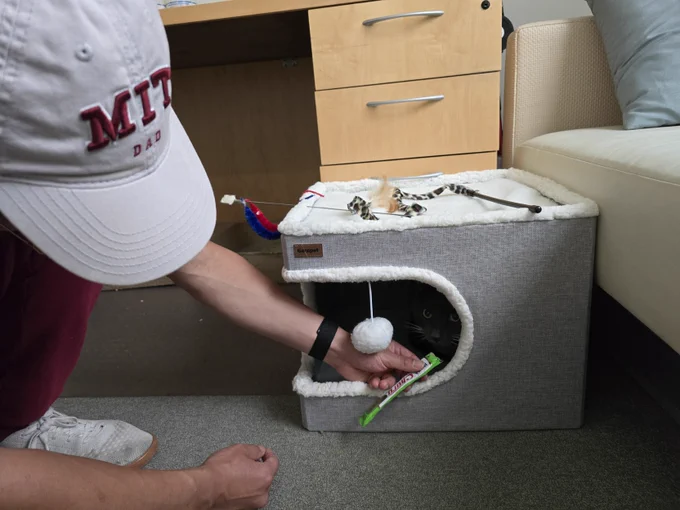 A man in a grey MIT hat leans over to offer a treat to a dark grey cat in the recess of a fuzzy box