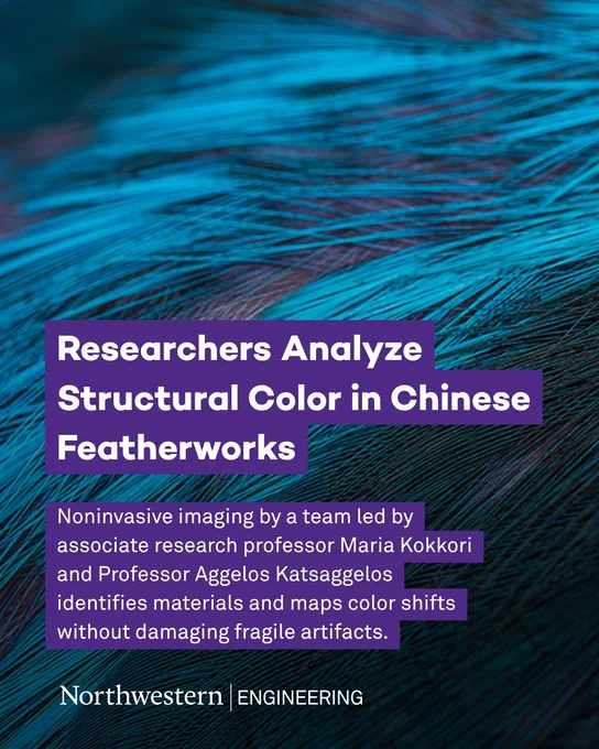 How do feathers create color without dye?
Northwestern’s Maria Kokkori and Aggelos Katsaggelos used noninvasive imaging to study Chinese featherworks—and found nanoscale structures behind their shifting hues.