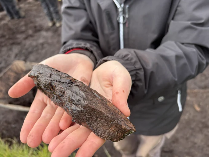 Two hands hold a waterlogged wooden stake with a worked end.