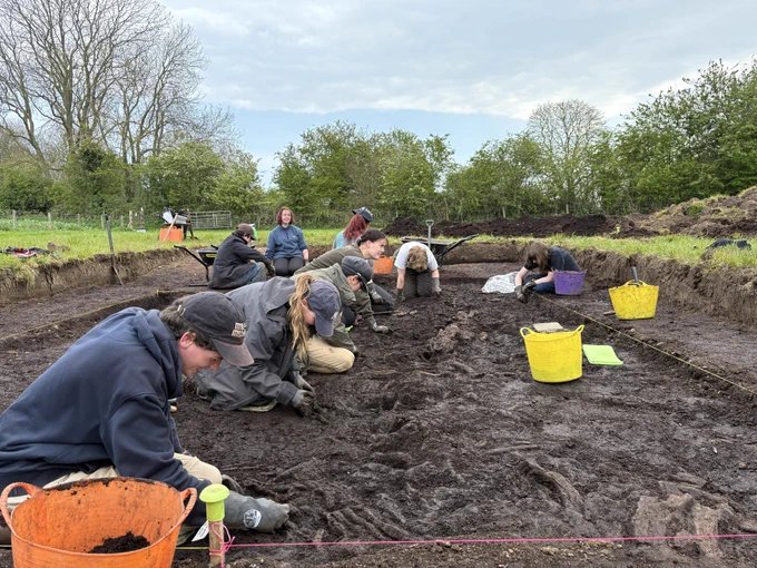 Students on hands and knees excavating wood and peat.