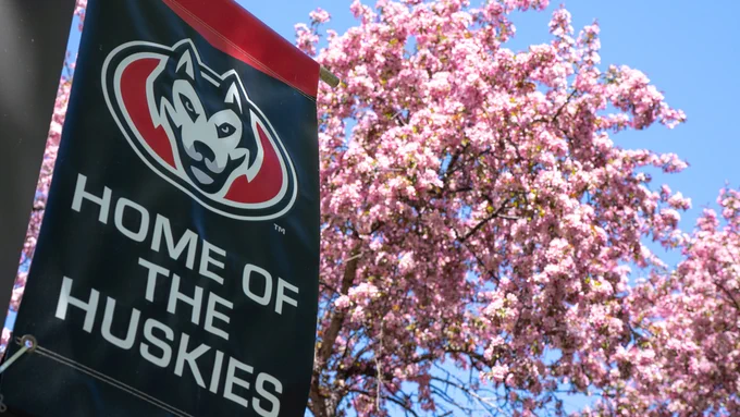 A banner with the St. Cloud State University Huskies logo and the words "Home of the Huskies" is displayed next to a blooming cherry blossom tree under a clear blue sky.