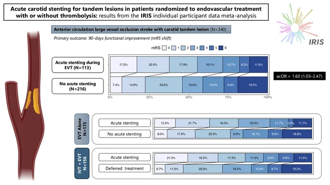 Graphic abstract in Cavalcante et al. 