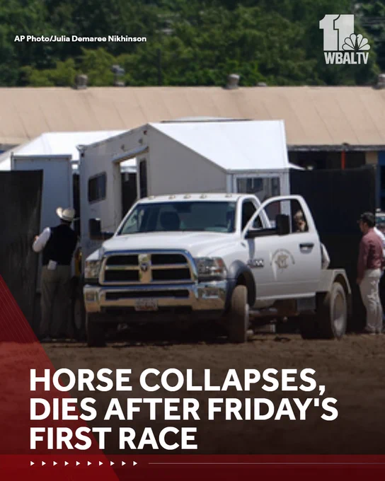 A horse collapsed and died after Friday's first race at Laurel Park. Pete Gilbert spoke with the chief veterinary officer.