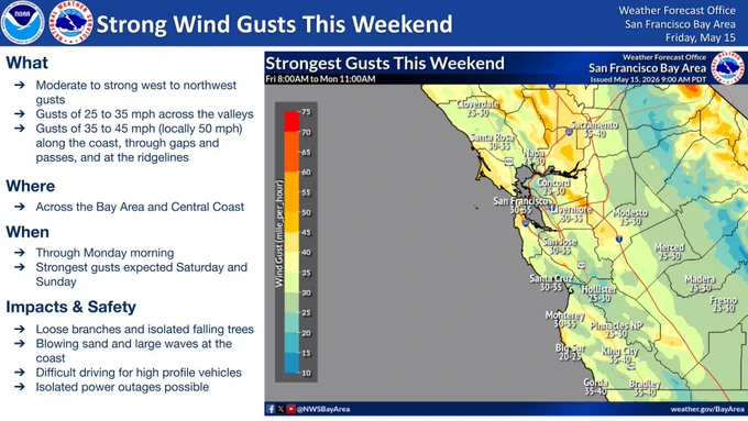 Weather infographic from NWS San Francisco Bay Area titled "Strong Wind Gusts This Weekend," issued May 15, 2026. The text on the left specifies west to northwest gusts of 25-35 mph in valleys and 35-50 mph along the coast and ridges through Monday morning. Impacts include falling branches, blowing sand, difficult driving, and possible power outages. On the right, a color-coded map shows the Bay Area and Central Coast with projected wind gusts. Most inland areas (like Santa Rosa, Concord, and San Jose) are yellow/green, indicating 25-35 mph, while coastal areas and higher elevations (like San Francisco, Santa Cruz, and King City) show orange/yellow shadings for 35-45 mph gusts.