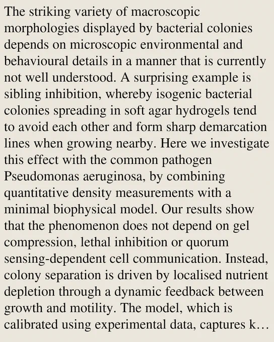 The striking variety of macroscopic morphologies displayed by bacterial colonies depends on microscopic environmental and behavioural details in a manner that is currently not well understood. A surprising example is sibling inhibition, whereby isogenic bacterial colonies spreading in soft agar hydrogels tend to avoid each other and form sharp demarcation lines when growing nearby. Here we investigate this effect with the common pathogen Pseudomonas aeruginosa, by combining quantitative density measurements with a minimal biophysical model. Our results show that the phenomenon does not depend on gel compression, lethal inhibition or quorum sensing-dependent cell communication. Instead, colony separation is driven by localised nutrient depletion through a dynamic feedback between growth and motility. The model, which is calibrated using experimental data, captures key observations including the dependence of inhibition strength on the initial nutrient concentration. This work establishe