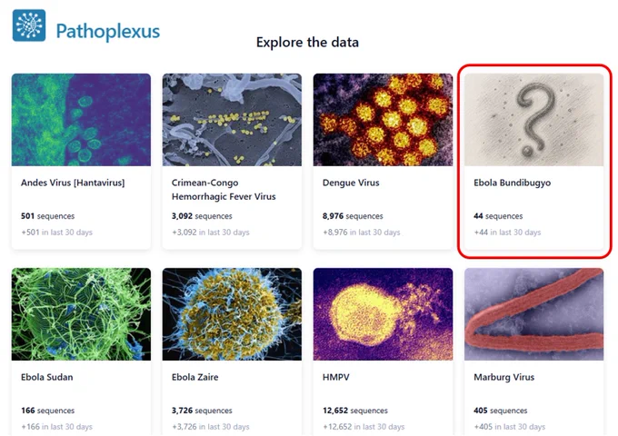 Image of some of the available pathogens on Pathoplexus, with a red rectangle outlining the new tile for Ebola Bundibugyo virus, with 44 sequences.