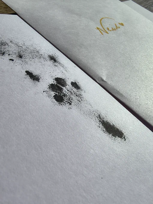 A white piece of card with a black rabbit hind footprint on it, next to it is a silver envelope with Neil written in it in gold with a heart next to the name