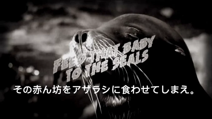 sea lion face, cute nose, open mouth with water in the background in black and white. Text: FEED THAT BABY TO THE SEALS in English with Japanese translation
