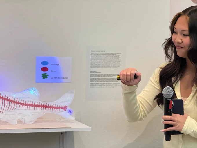 A person holds a microphone and points at a translucent model of a fish skeleton on display. The model includes labeled sections for cartilage, bone, and gene expression. A sign with color-coded diagrams is on the wall behind the model.