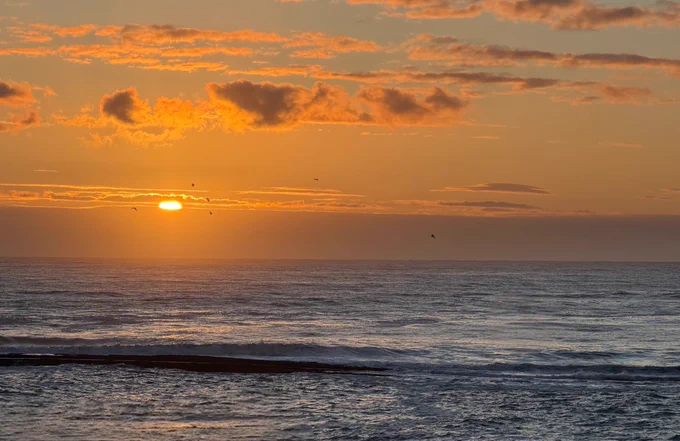 Early morning fly past