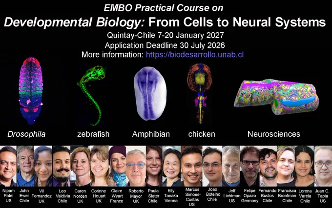 Faculty at the Developmental Biology course, 2027, Chile